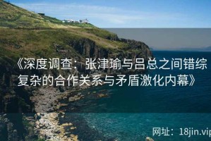 《深度调查：张津瑜与吕总之间错综复杂的合作关系与矛盾激化内幕》
