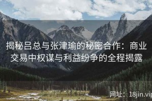 揭秘吕总与张津瑜的秘密合作：商业交易中权谋与利益纷争的全程揭露
