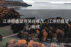 江添把盛望顶哭在哪几，江添把盛望宠成