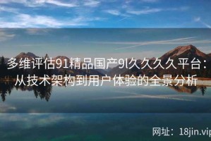 多维评估91精品国产9l久久久久平台：从技术架构到用户体验的全景分析