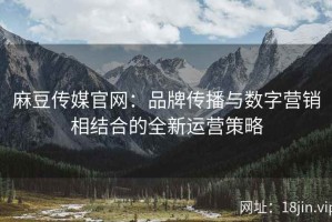 麻豆传媒官网：品牌传播与数字营销相结合的全新运营策略