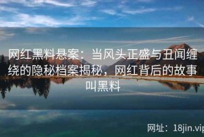 网红黑料悬案：当风头正盛与丑闻缠绕的隐秘档案揭秘，网红背后的故事叫黑料