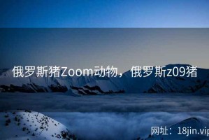 俄罗斯猪Zoom动物，俄罗斯z09猪