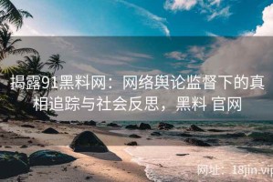 揭露91黑料网：网络舆论监督下的真相追踪与社会反思，黑料 官网