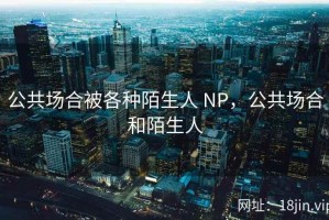 公共场合被各种陌生人 NP，公共场合和陌生人