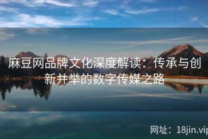 麻豆网品牌文化深度解读：传承与创新并举的数字传媒之路