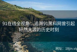 91在线全视角：追溯91黑料网曾引起轩然大波的历史时刻