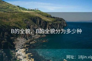 B的全貌，B的全貌分为多少种
