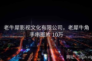 老牛犀影视文化有限公司，老犀牛角手串图片 10万