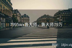 7995wx鲁大师，鲁大师79万
