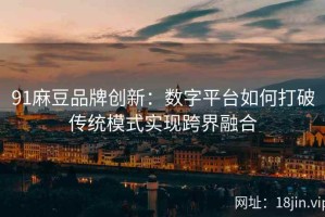 91麻豆品牌创新：数字平台如何打破传统模式实现跨界融合