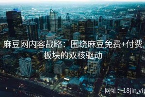麻豆网内容战略：围绕麻豆免费+付费板块的双核驱动