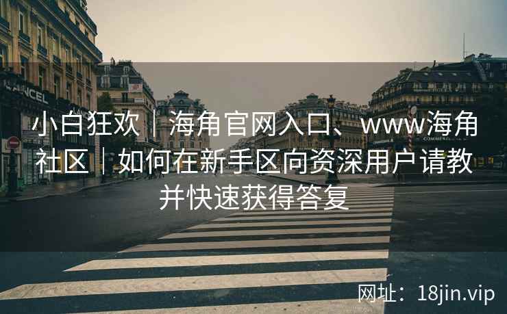 小白狂欢｜海角官网入口、www海角社区｜如何在新手区向资深用户请教并快速获得答复