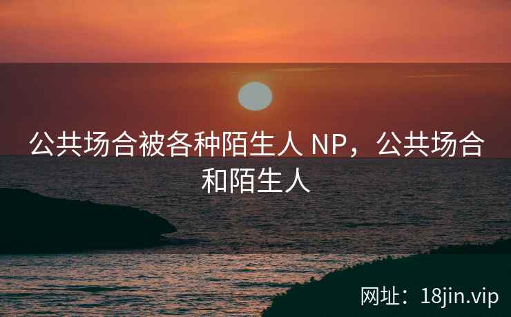 公共场合被各种陌生人 NP，公共场合和陌生人