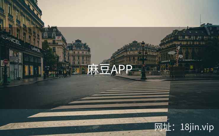 麻豆APP