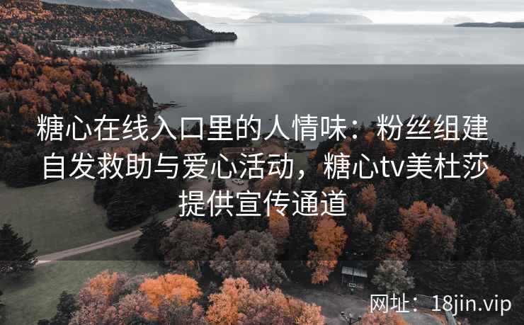 糖心在线入口里的人情味：粉丝组建自发救助与爱心活动，糖心tv美杜莎提供宣传通道
