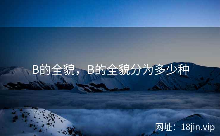 B的全貌，B的全貌分为多少种