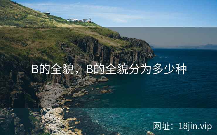 B的全貌，B的全貌分为多少种