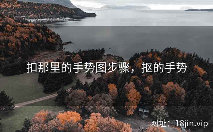 扣那里的手势图步骤，抠的手势