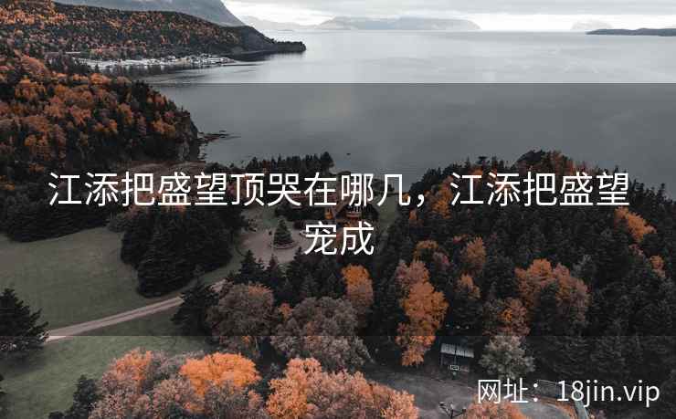 江添把盛望顶哭在哪几，江添把盛望宠成