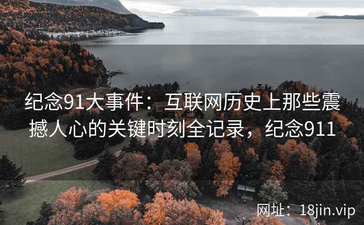 纪念91大事件：互联网历史上那些震撼人心的关键时刻全记录，纪念911
