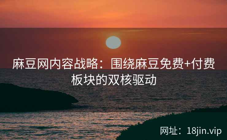 麻豆网内容战略：围绕麻豆免费+付费板块的双核驱动